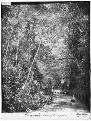 Corcovado - caminho do Aqueduto