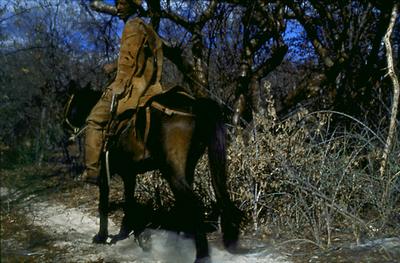 Série Rio São Francisco
