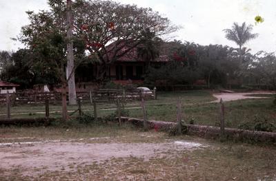 Fazenda Ubá - terreiro de café e edificação