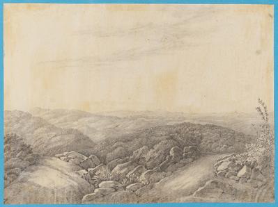 Vue des Champs de Minas Geraës