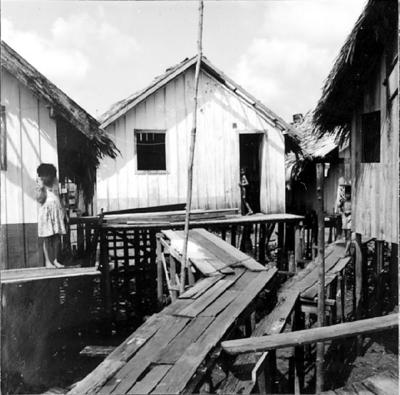 Vila da Barca, palafitas flutuantes