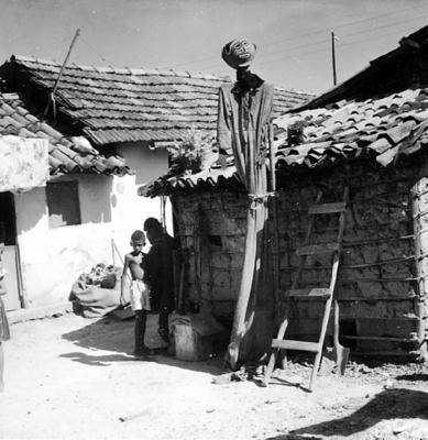 Bumba Meu Boi, festa popular