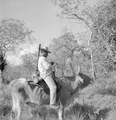 Vaqueiro - Ilha Mexiana