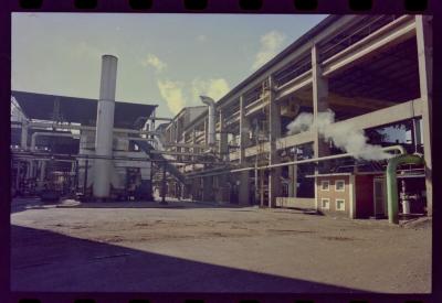 Produção de filme institucional sobre usinas de açúcar