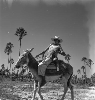 Carnaúba, homem montado em jegue