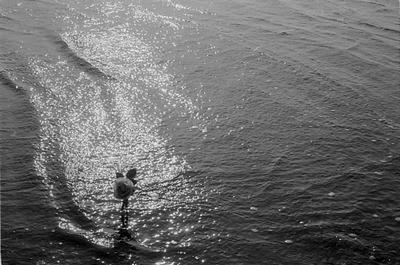 Série Festa de Iemanjá