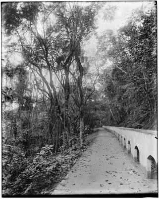 Corcovado - caminho do Aqueduto da Carioca
