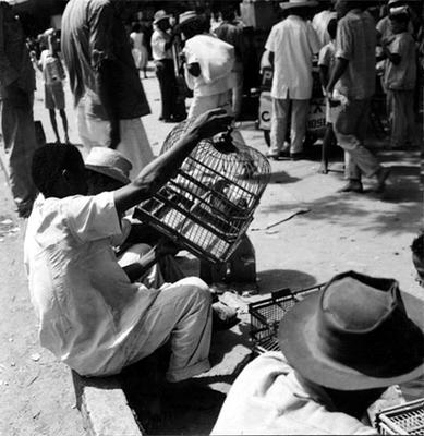 Feira dos Passarinhos