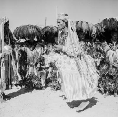 Bumba meu boi, festa popular