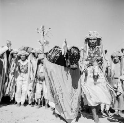 Bumba meu boi, festa popular