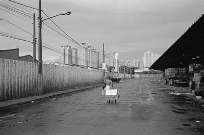 São Paulo - CEAGESP