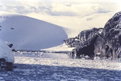 Aventuras de Igor na Antártida