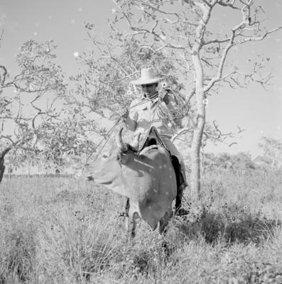 Vaqueiro - Ilha Mexiana