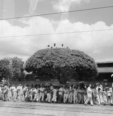 Procissão do Círio de Nazaré
