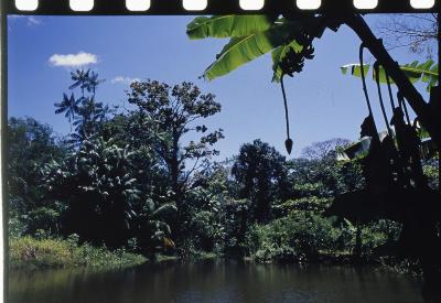 Projeto "Navegar Amazônia"
