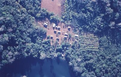 Vista aérea para casas em meio à floresta
