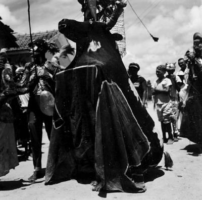 Bumba Meu Boi, festa popular