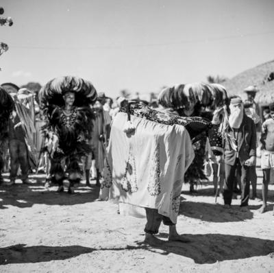 Bumba meu boi, festa popular