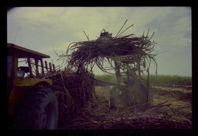 Produção de filme institucional sobre usinas de açúcar