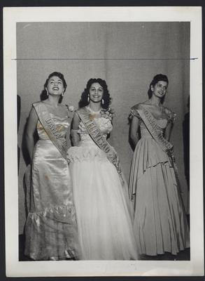 Concurso de Miss Televisão