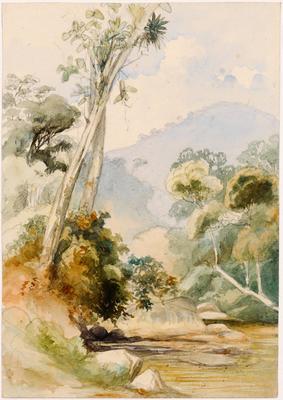 [Paisagem com vegetação à beira de rio]