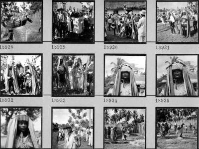 Bumba meu boi, festa popular