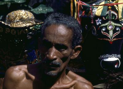 Série Bumba-meu-boi - Festa de São João