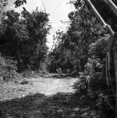 Expedição do SPI que estabeleceu os primeiros contatos com o povo Asuriní do Tocantins