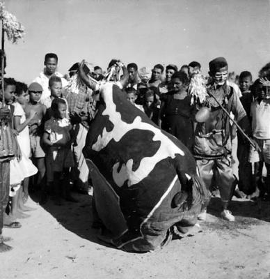 Bumba Meu Boi, festa popular