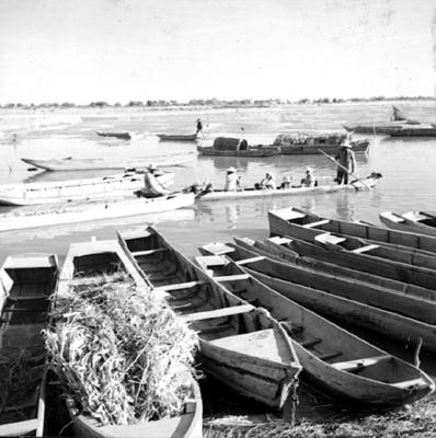 Cena do Rio São Francisco