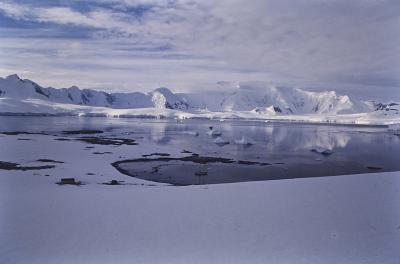 Aventuras de Igor na Antártida