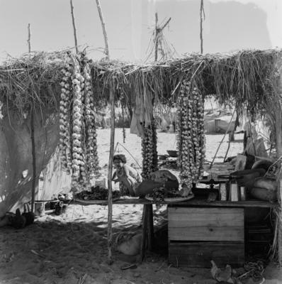 Acampamento de romeiros