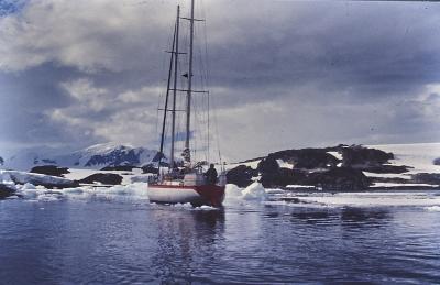 Aventuras de Igor na Antártida