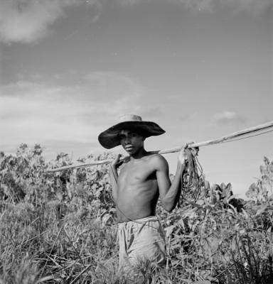Caça de jacarés na Ilha Mexiana