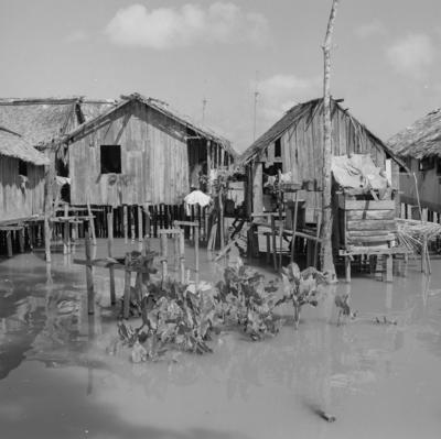 Vila da Barca, palafitas flutuantes