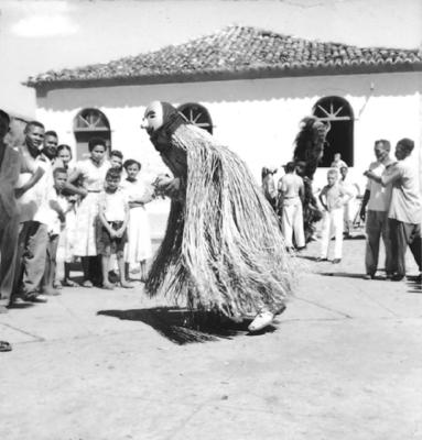 Bumba meu boi, festa popular