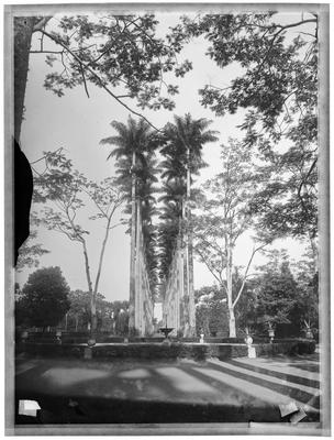 Vista da Alameda das Palmeiras