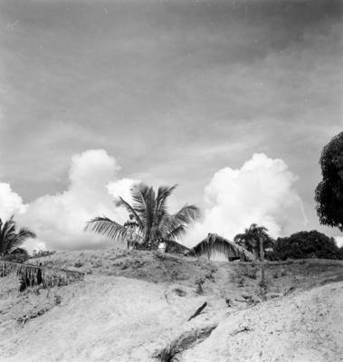 Garimpo de diamantes na Boca do Tauiri