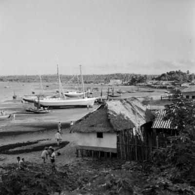 Bumba meu boi, festa popular