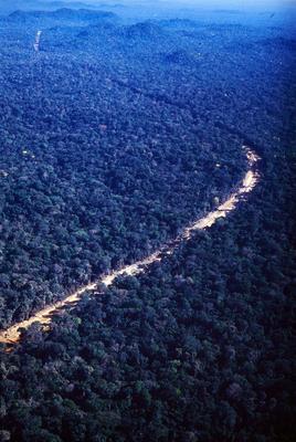 Vista aérea de estrada em meio à floresta