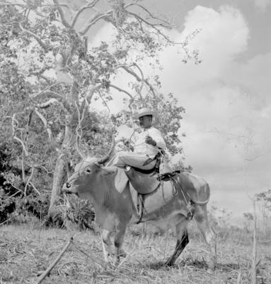 Vaqueiro - Ilha Mexiana