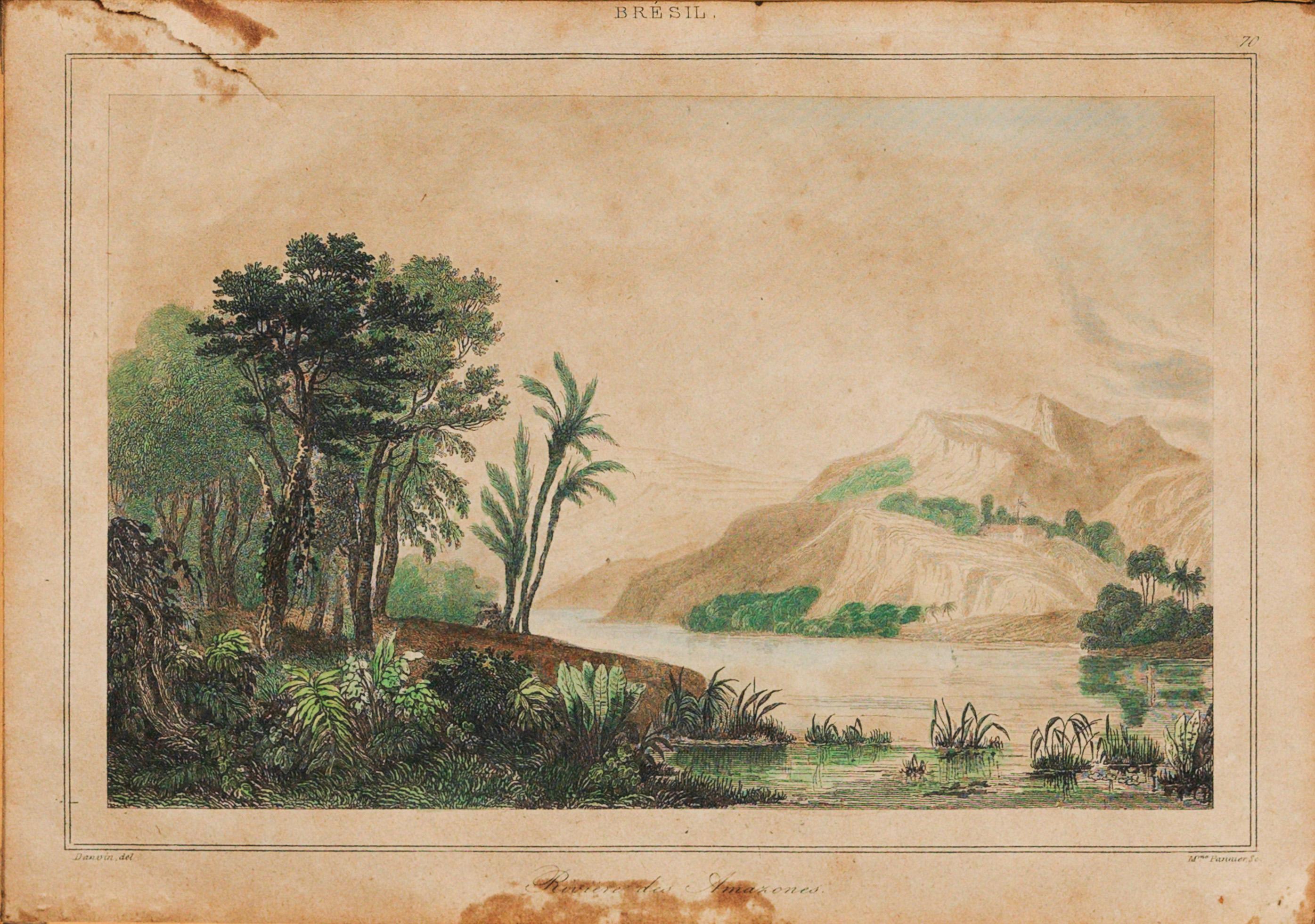 Rivière des Amazones