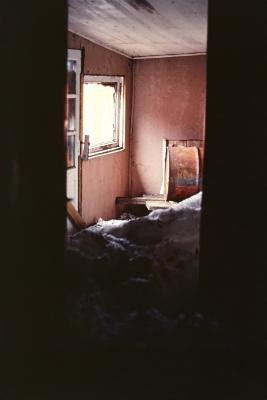 Aventuras de Igor na Antártida