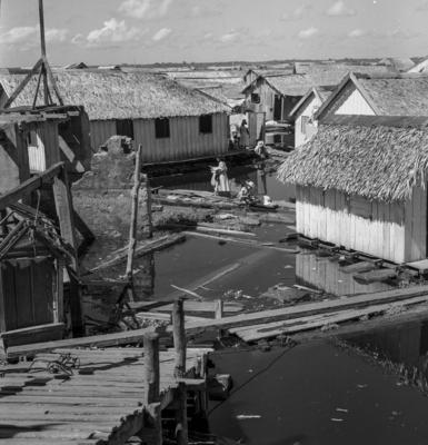 Palafitas flutuantes