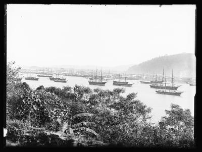 São Paulo Railway, vista panorâmica do Porto de Santos