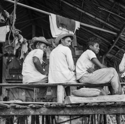 Rancho de trabalhadores - Ilha de Marajó