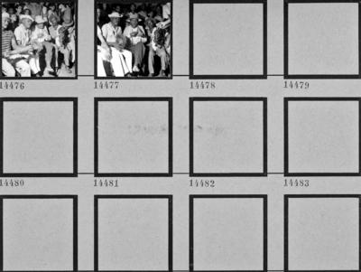 Cavalo Marinho, festa popular