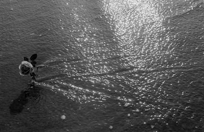 Série Festa de Iemanjá