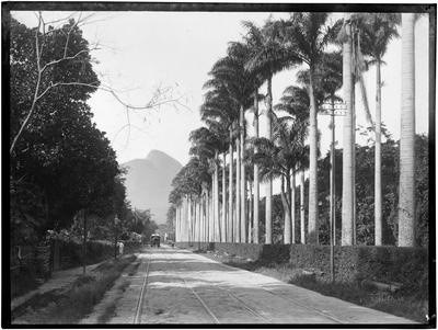Rua Jardim Botânico