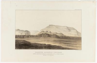 (Vereda de Mauritia vinifera [buriti] junto aos montes chamados "Os Paredões", na estrada entre as cidades de Goiás e Cuiabá)